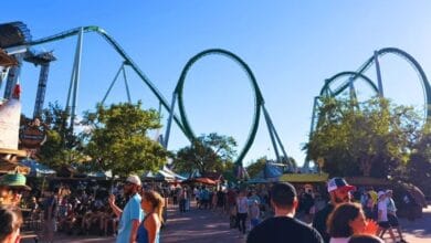 The Incredible Hulk Coaster at Universal Islands of Adventure surrounded by guests